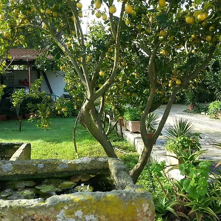 Le Amazzoni Torre Chianca